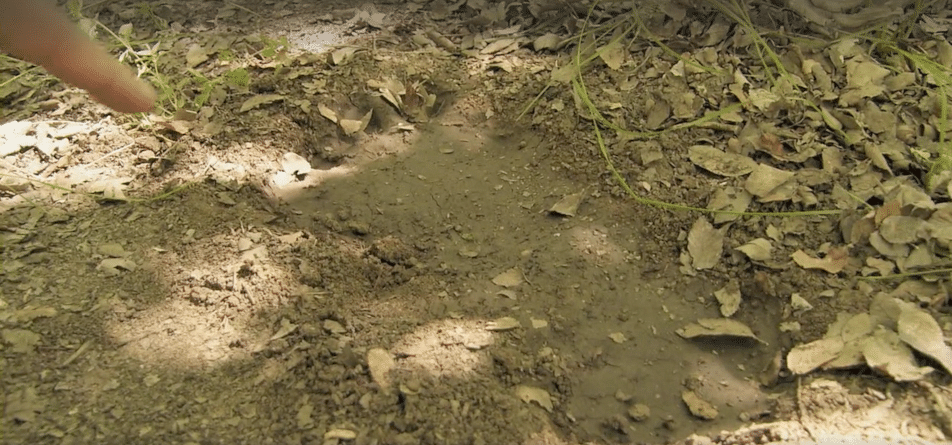 Ben Nagy reviews ‘Exists’: Vehicular slaughter of juvenile Sasquatch leads to poor campout experience 4 Brian draws attention to the Bigfoot print he found in the woods in "Exists." (Screen capture by reviewer Ben Nagy)