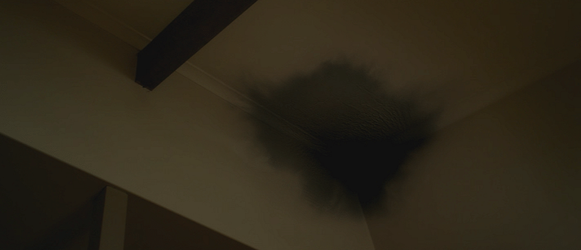 Ben Nagy reviews ‘Lost Gully Road’: Woman fleeing ex shacks up with a ghost in a cabin in the woods 5 There's a spooky black spot on the ceiling of the house that Lucy's staying in "Lost Gully Road." (Screen capture from DVD by reviewer Ben Nagy).